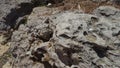 Rock in a river with natural texture formed from rainwate