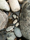 a rock in the river Royalty Free Stock Photo