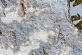 Rock in river water background Royalty Free Stock Photo