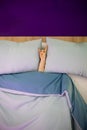 Rock & roll, heavy metal, sign, horns party hard shows a female hand lying on a pillow from under the covers in bed. top view