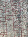 Rock runestone detail, Norrkoping, Ostergotland, Sweden