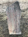 Rock runestone, Norrkoping, Ostergotland, Sweden