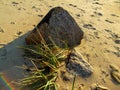 Rock in sand on the beach