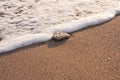 Rock on the sand, beach, water waves Royalty Free Stock Photo