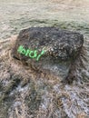 Rock with a script or graffiti sign in green