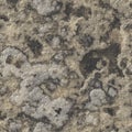 Rock seamless texture