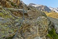 Rock section secured with a steel cable on the way to the BietschhornhÃ¼tte Royalty Free Stock Photo