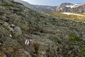 Rock section secured with a steel cable on the way to the BietschhornhÃ¼tte Royalty Free Stock Photo