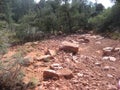 Rock Sediment in a dry river bed