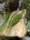 rock-shaped pond inhabited by green moss