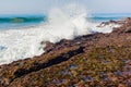 Rock Shelf Barnicles Seaweed Waves Royalty Free Stock Photo