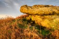 The Rock Shelter at Corby\'s Crags Royalty Free Stock Photo