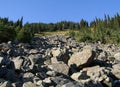 Rock Slide in Callaghan Valley Royalty Free Stock Photo