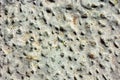 Rock solid texture