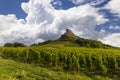 Rock of Solutre with vineyards, Burgundy, Solutre-Pouilly, France