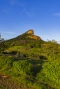 Rock of Solutre with vineyards, Burgundy, Solutre-Pouilly, France