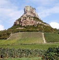 Rock of Solutre with vineyards