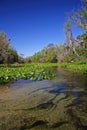 Rock Springs Run