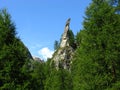 Rock spur amongst Arolla pine trees, Switzerland