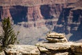 Rock Squirrel on Grand Canyon Vista Royalty Free Stock Photo