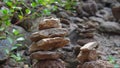 Rock stack near the ancient castle Royalty Free Stock Photo