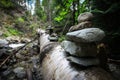 Rock stacking in a quiet forest