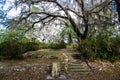 Rock stairs in a Southern garden