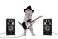 Rock star cat Royalty Free Stock Photo