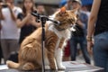 rock star cat, with guitar and microphone in hand, on stage in front of adoring crowd Royalty Free Stock Photo