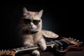 rock star cat, posing with guitar and signature shades Royalty Free Stock Photo