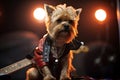 rock star dog practicing guitar onstage at sold-out concert Royalty Free Stock Photo