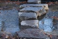 Rock Stepping Stones. Royalty Free Stock Photo