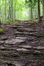 Rock steps on the Bruce trail
