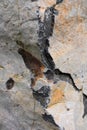 Rock and stone - detail and closeup of geomorphological texture, structure and material. Royalty Free Stock Photo