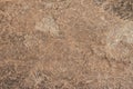 Rock stone texture. Sandstone rock background rough abstract grunge textured surface pattern natural breed monolith. Royalty Free Stock Photo