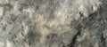 Rock, stone, textured. Background for design. Royalty Free Stock Photo