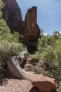 Rock Structure at Temple of Sinawava Zion National Park