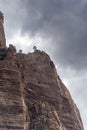 Rock Structure and tree in the canyon of Zion National Park Royalty Free Stock Photo