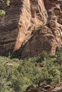 Rock Structure and trees Zion National Park Royalty Free Stock Photo