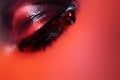 Rock style. Macro fashion dark gloss eye make-up