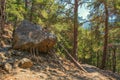 Rock supported by wood sticks in Samaria Gorge on Crete