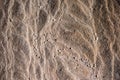 Natural sandstone rock rippled textured rock surface ideal as background