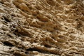 Rock surface Royalty Free Stock Photo