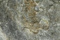 Rock surface texture Royalty Free Stock Photo