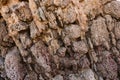 Rock texture and background for design. Close up view of rocks in the seashore. Royalty Free Stock Photo