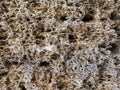 A rock. Texture. Building stone limestone. Porous surface.