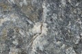 Rock Texture grey stone background close up Royalty Free Stock Photo