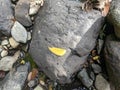 rock texture of a small river when the water recedes in a village in Indonesia 9