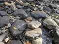 rock texture of a small river when the water recedes in a village in Indonesia 8