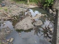 rock texture of a small river when the water recedes in a village in Indonesia 30